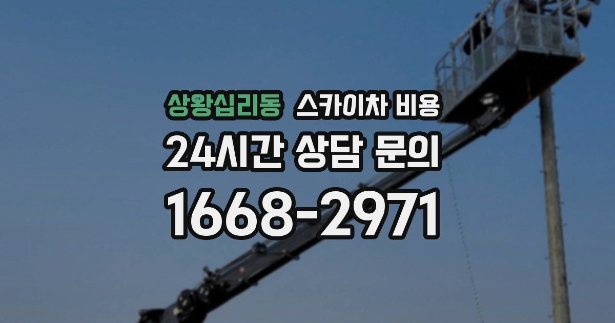 상왕십리동 스카이차 비용