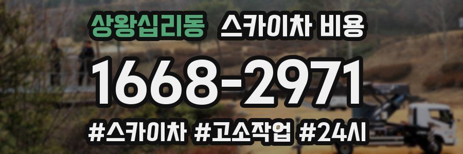 상왕십리동 스카이차 비용