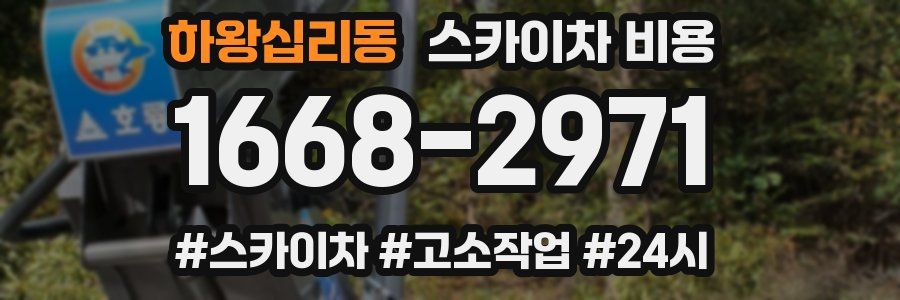 하왕십리동 스카이차 비용