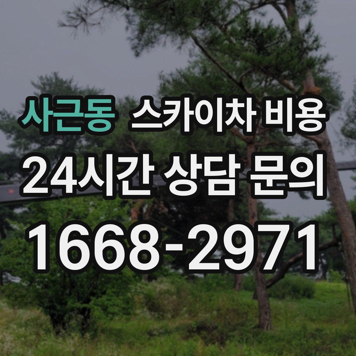 사근동 스카이차 비용