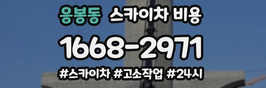 응봉동 스카이차 비용