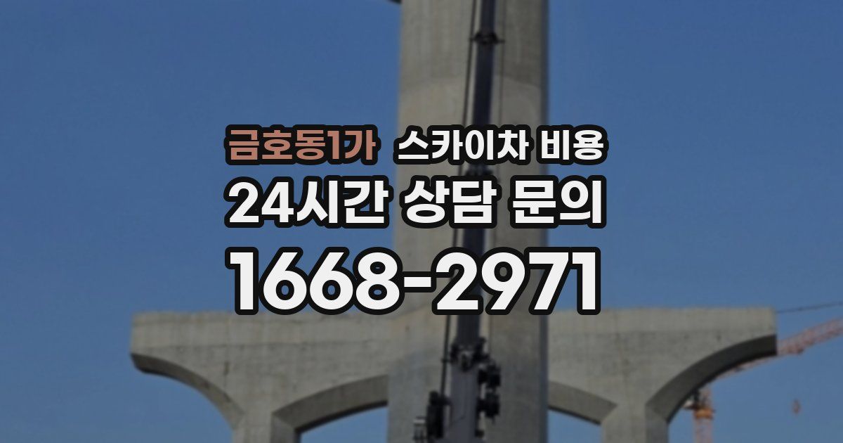 금호동1가 스카이차 비용