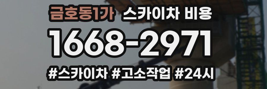 금호동1가 스카이차 비용