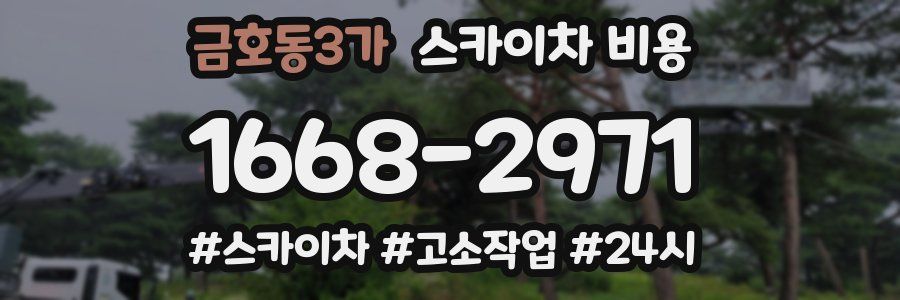 금호동3가 스카이차 비용