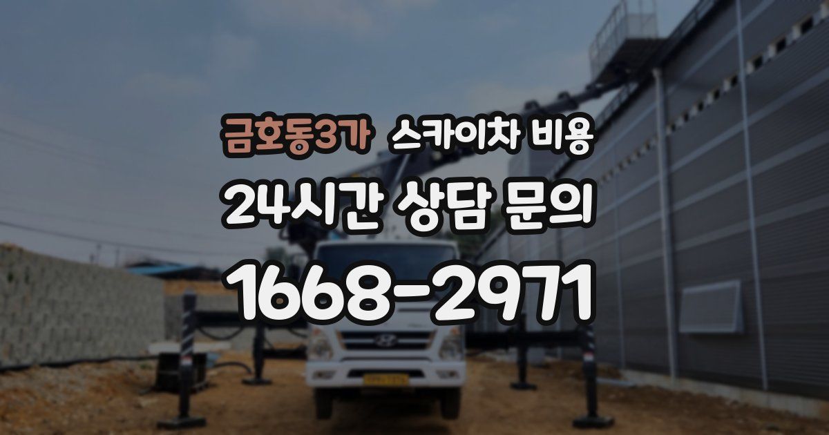 금호동3가 스카이차 비용