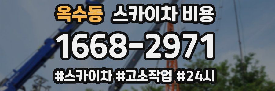 옥수동 스카이차 비용