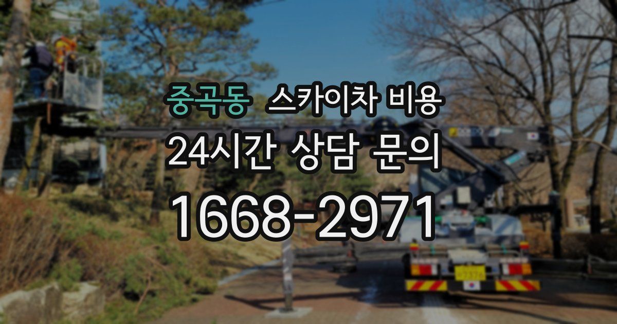 중곡동 스카이차 비용