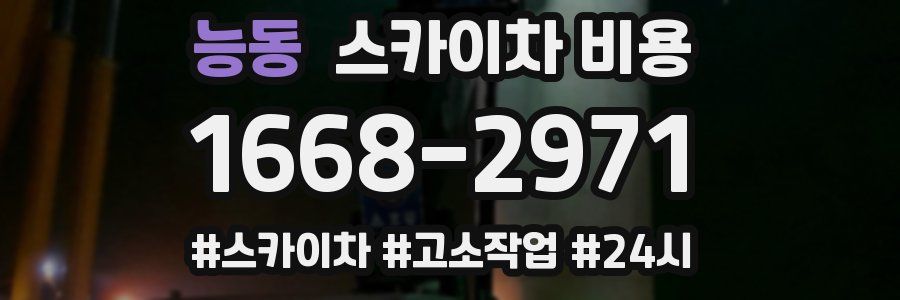 능동 스카이차 비용