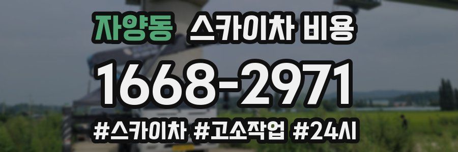 자양동 스카이차 비용