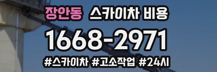 장안동 스카이차 비용