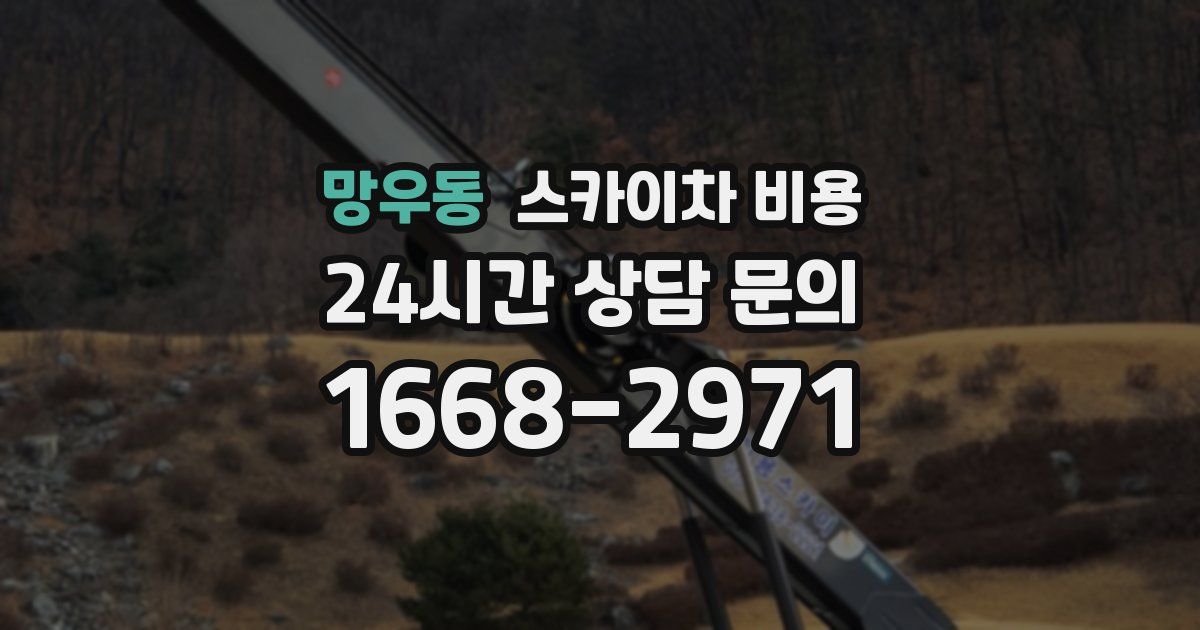 망우동 스카이차 비용