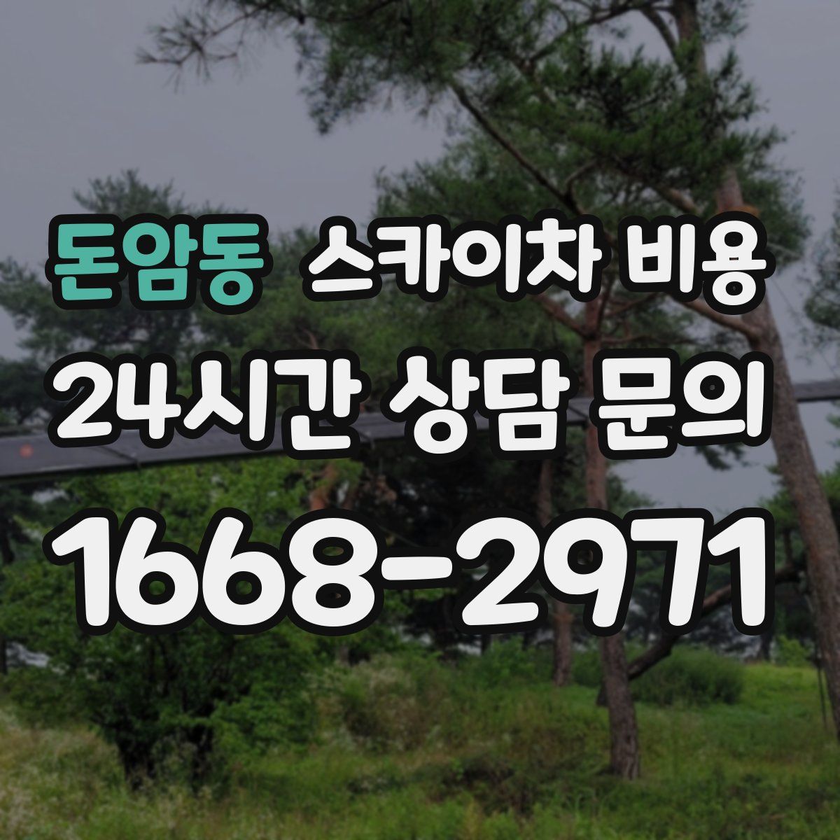 돈암동 스카이차 비용