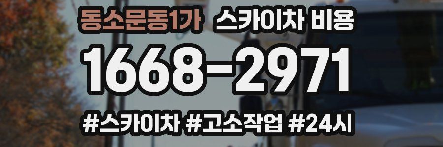 동소문동1가 스카이차 비용