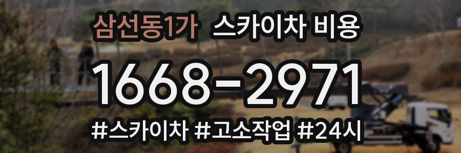 삼선동1가 스카이차 비용