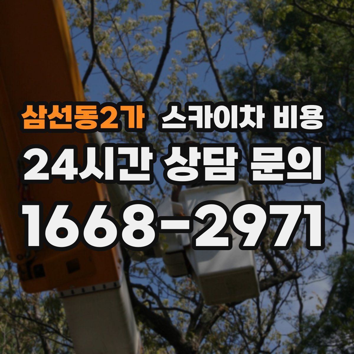 삼선동2가 스카이차 비용