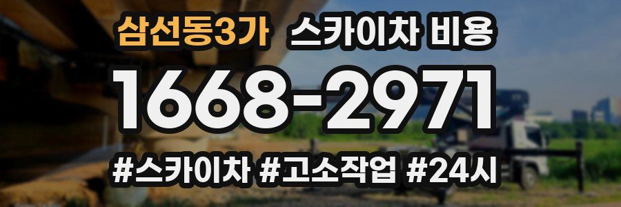 삼선동3가 스카이차 비용