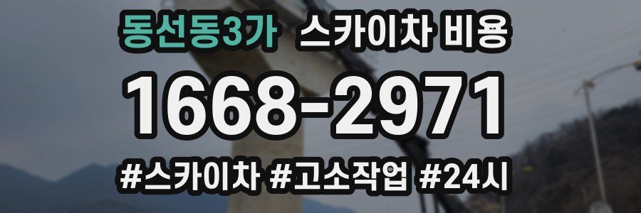 동선동3가 스카이차 비용