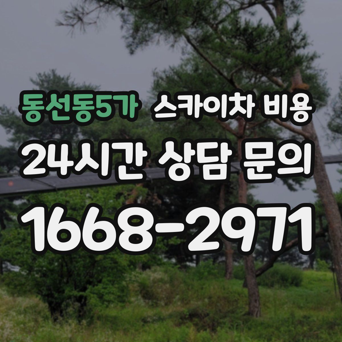 동선동5가 스카이차 비용