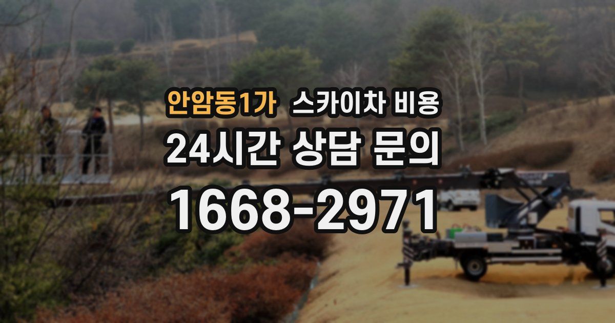 안암동1가 스카이차 비용