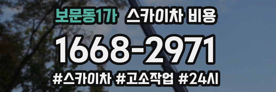 보문동1가 스카이차 비용