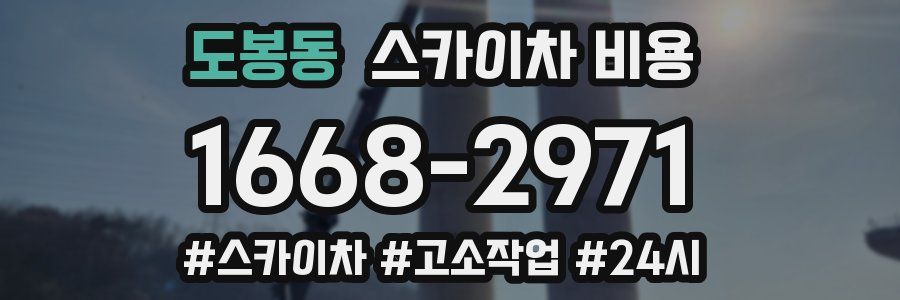 도봉동 스카이차 비용