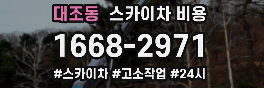 대조동 스카이차 비용