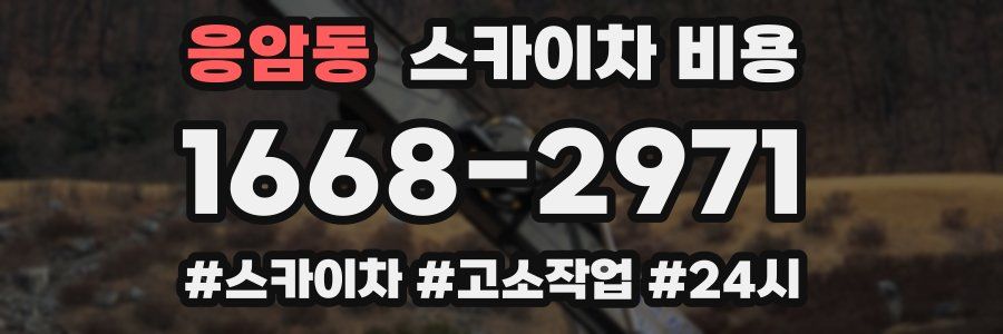 응암동 스카이차 비용