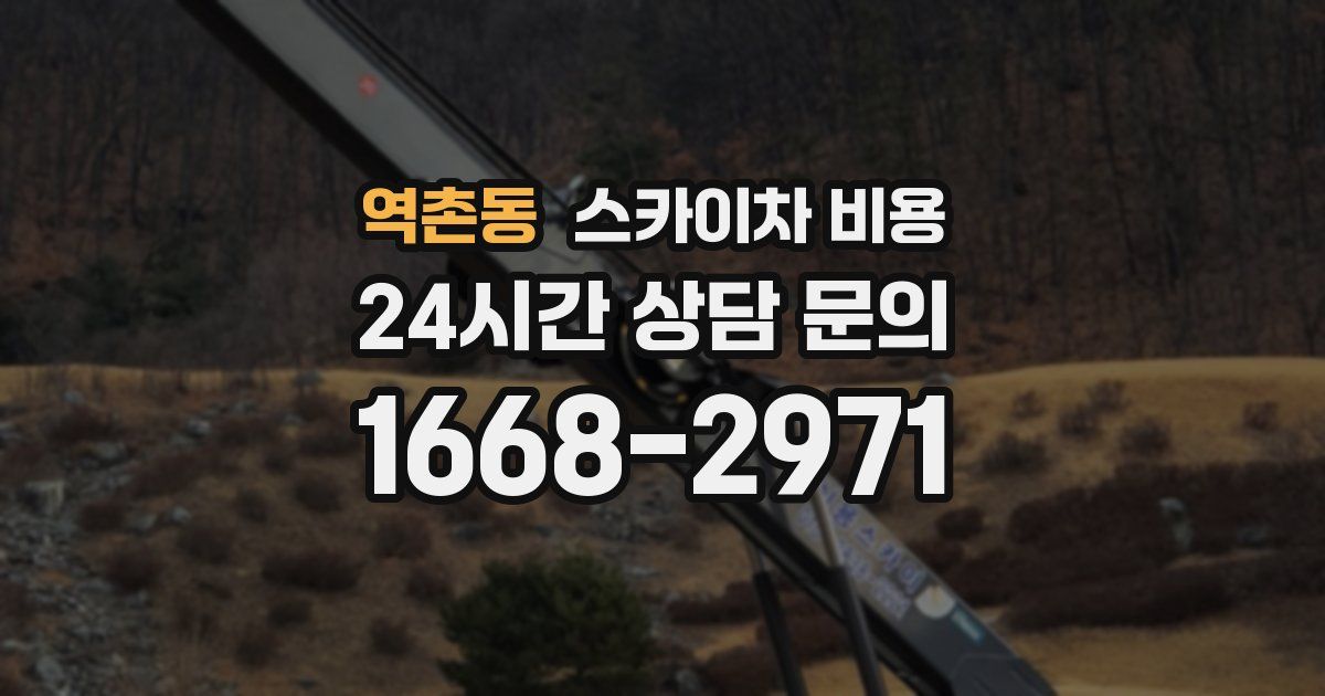 역촌동 스카이차 비용