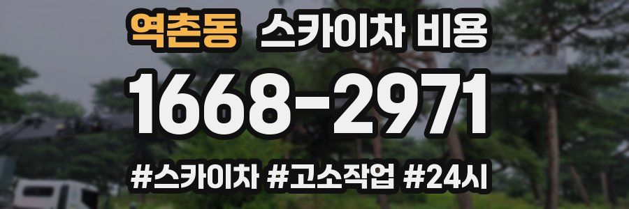 역촌동 스카이차 비용