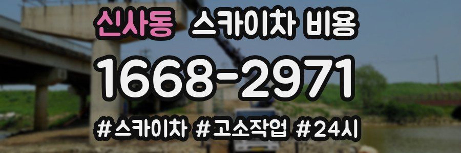 신사동 스카이차 비용