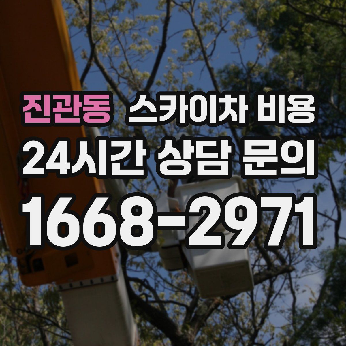 진관동 스카이차 비용