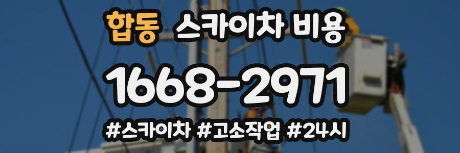 합동 스카이차 비용