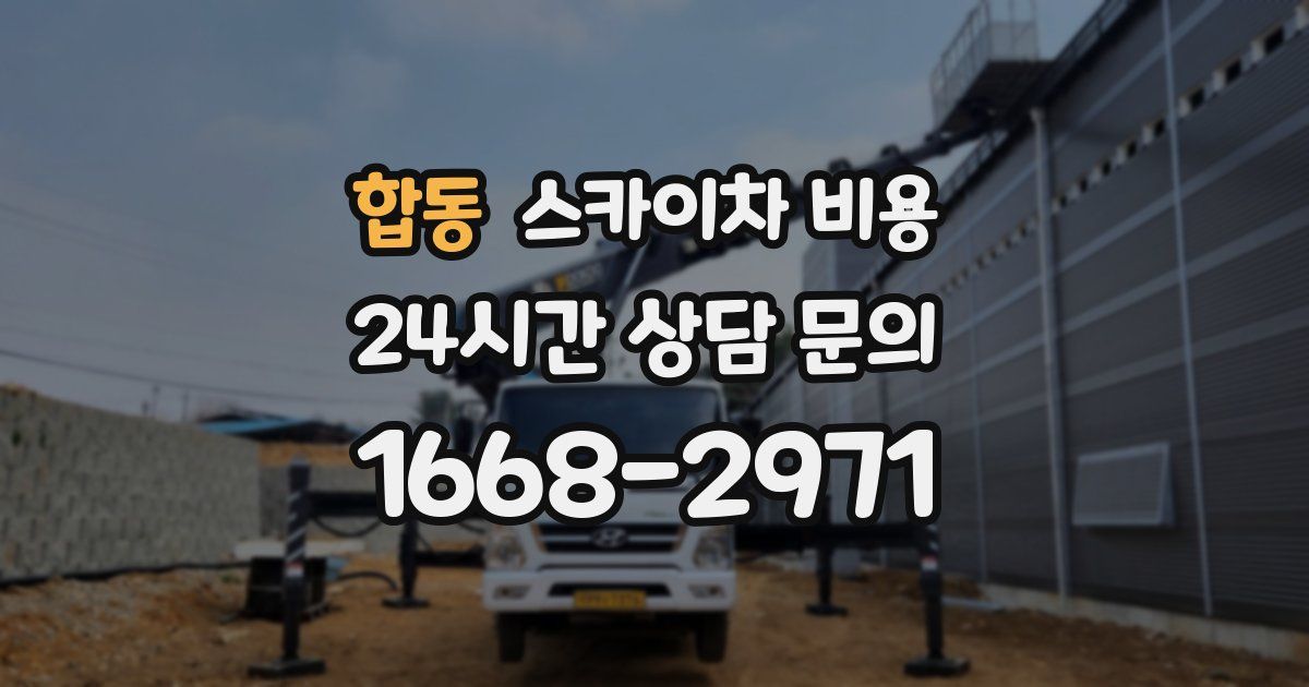 합동 스카이차 비용