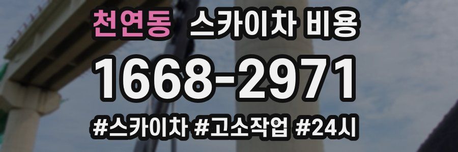 천연동 스카이차 비용