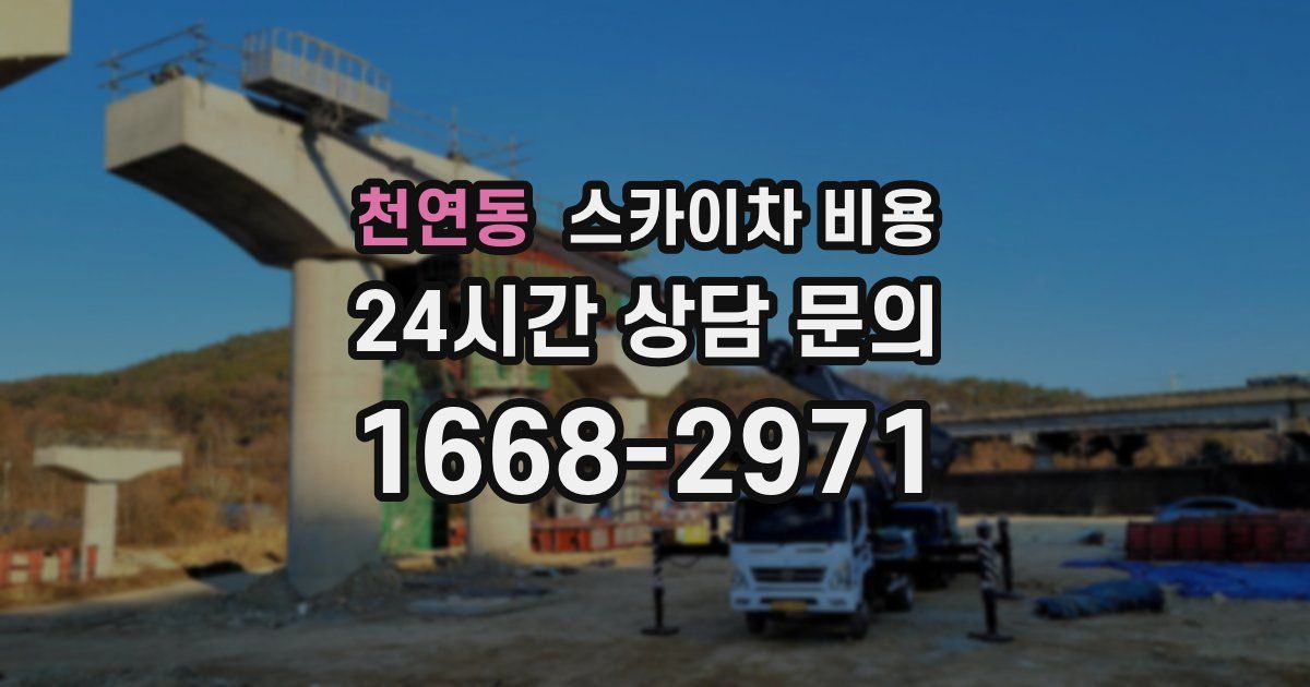 천연동 스카이차 비용