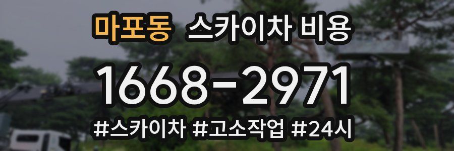 마포동 스카이차 비용