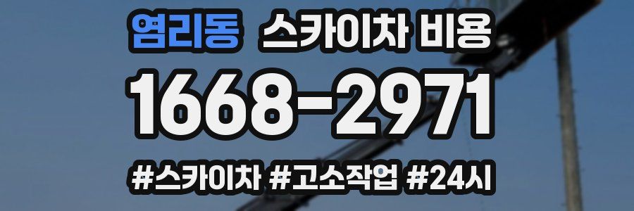 염리동 스카이차 비용