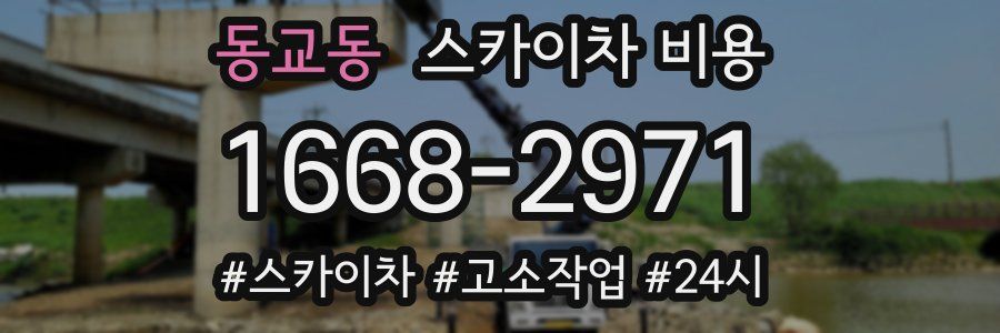 동교동 스카이차 비용