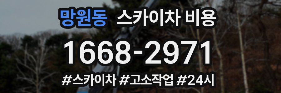 망원동 스카이차 비용