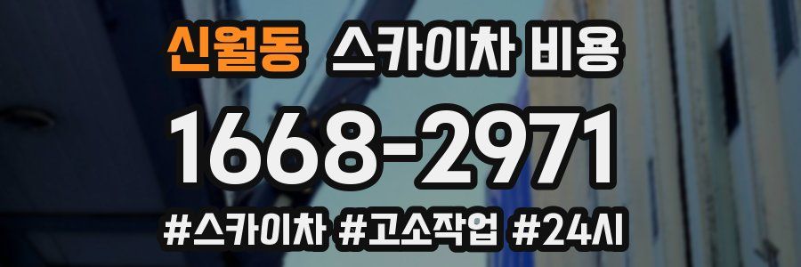 신월동 스카이차 비용