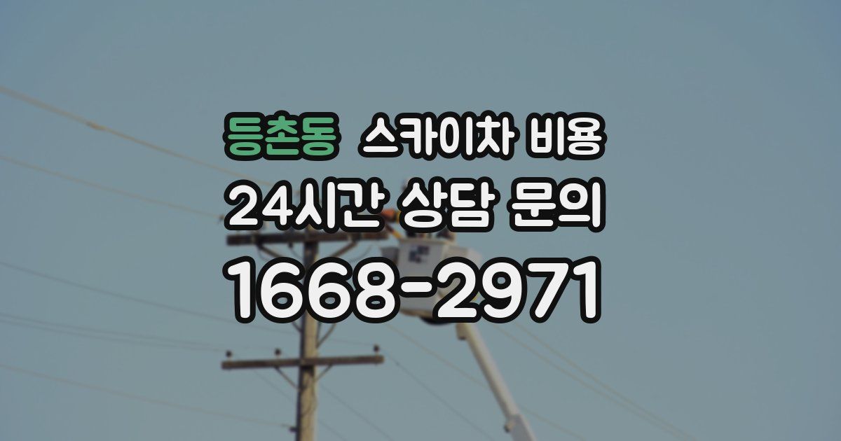 등촌동 스카이차 비용