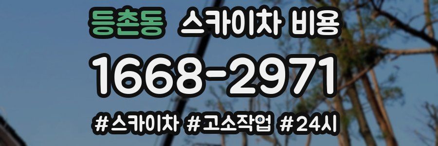 등촌동 스카이차 비용