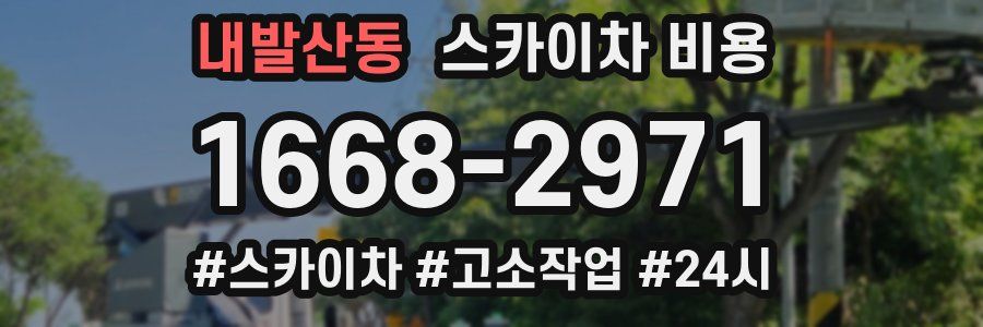 내발산동 스카이차 비용