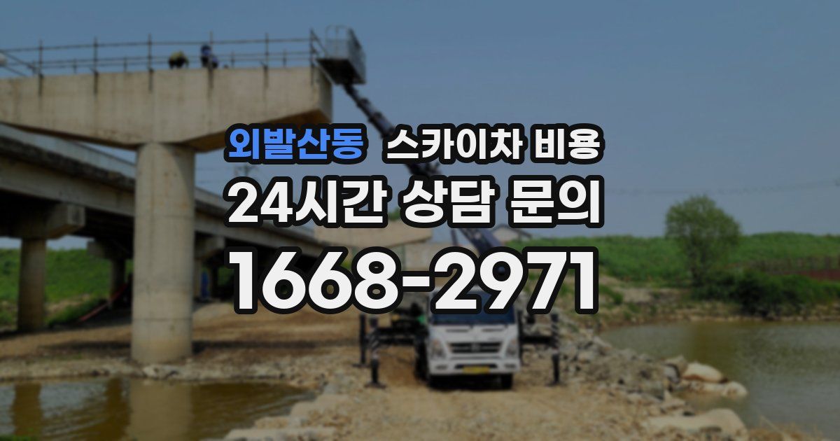 외발산동 스카이차 비용