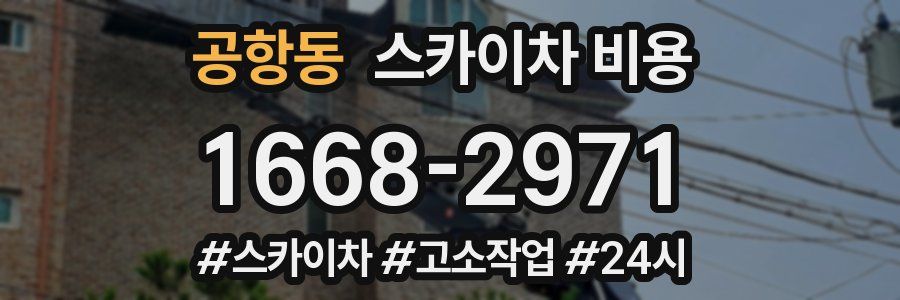 공항동 스카이차 비용