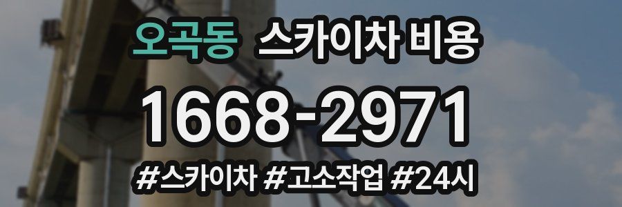 오곡동 스카이차 비용