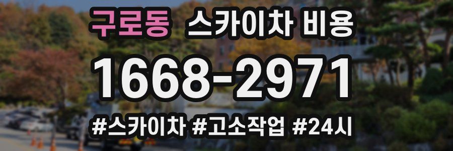 구로동 스카이차 비용