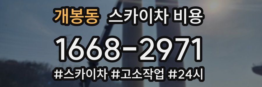 개봉동 스카이차 비용