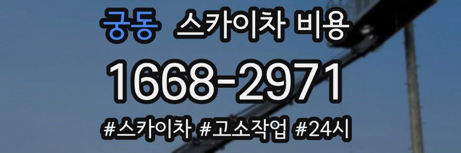 궁동 스카이차 비용