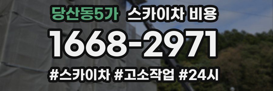 당산동5가 스카이차 비용